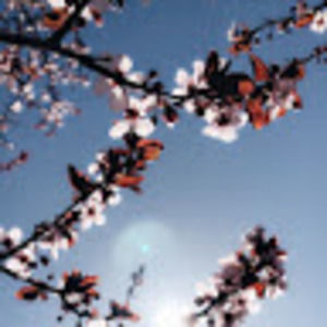 Meet your Posher, Isabel